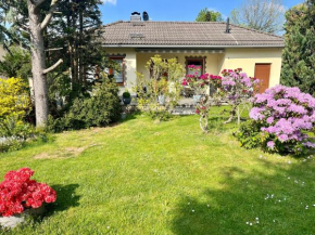 Ferienhaus Waldoase
